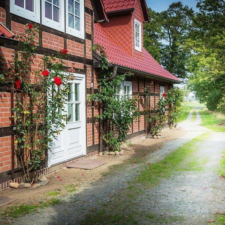 Landhaus Elbeflair Apartment Bei Doemitz Lenzerwische Esterno foto