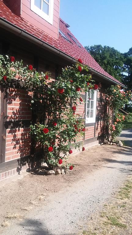 Landhaus Elbeflair Apartment Bei Doemitz Lenzerwische Esterno foto